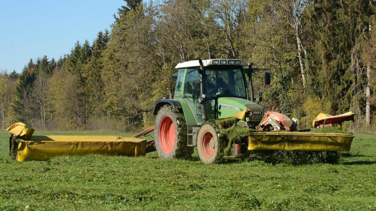 Ferienhof Weber Nieratz Wangen im Allgaeu Ngoại thất bức ảnh