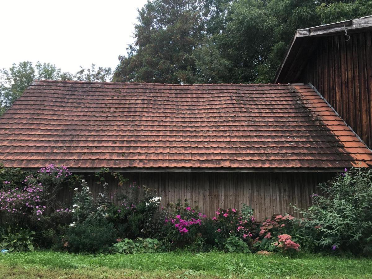 Ferienhof Weber Nieratz Wangen im Allgaeu Ngoại thất bức ảnh
